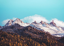 开云体育中国-不愿继续承受损失 火箭下赛季计划允许球迷入场