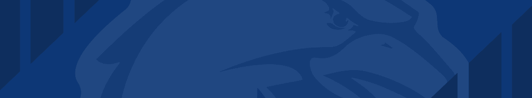 开云体育登录-平度分赛场观赛指南、互动活动重磅来袭~